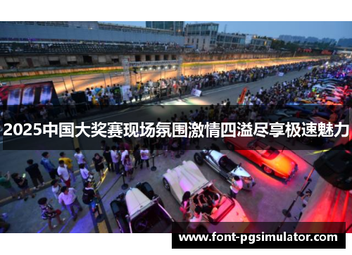 2025中国大奖赛现场氛围激情四溢尽享极速魅力