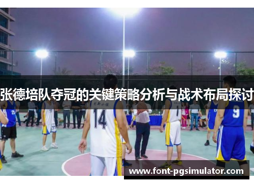 张德培队夺冠的关键策略分析与战术布局探讨