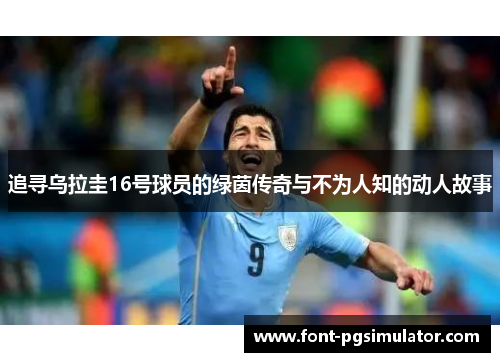 追寻乌拉圭16号球员的绿茵传奇与不为人知的动人故事